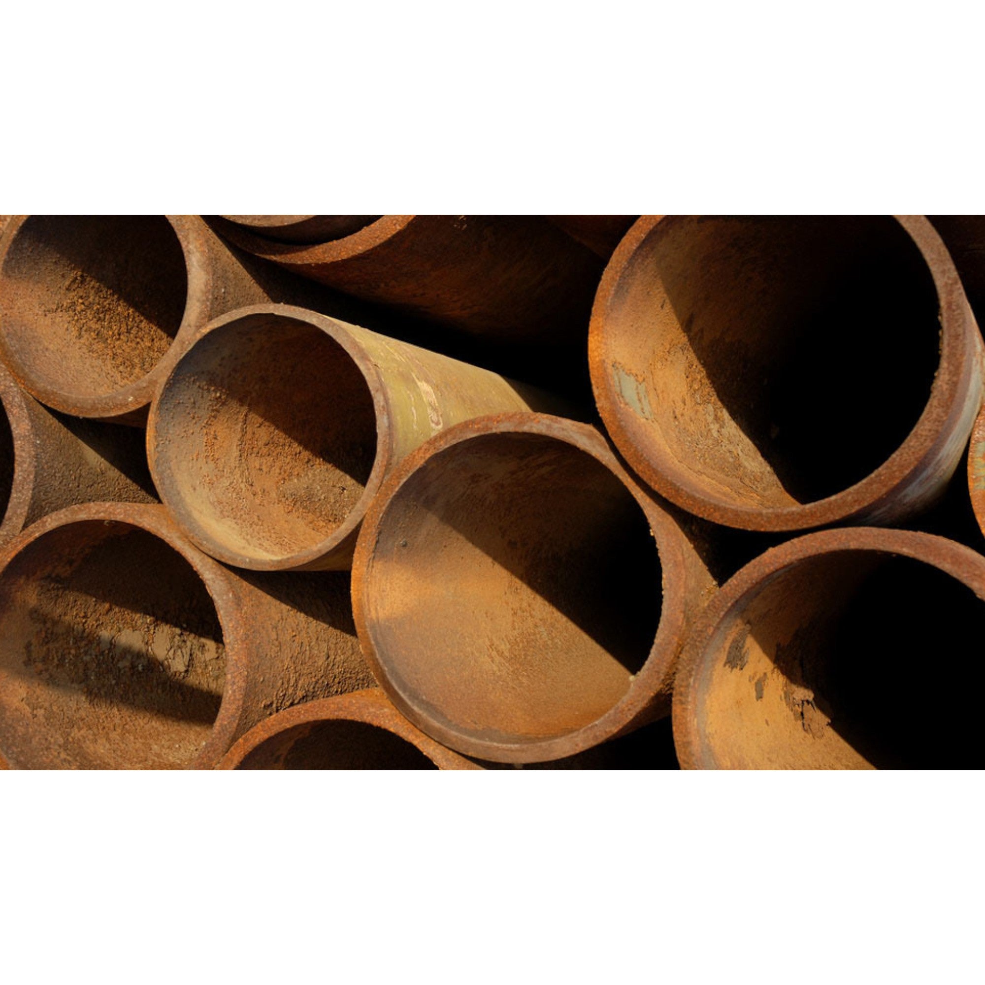 ZERUST® Zerion™ FVS